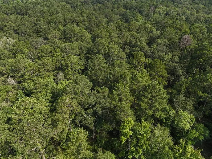 41135 Roper Road, Ponchatoula, LA 70454 - Image #2