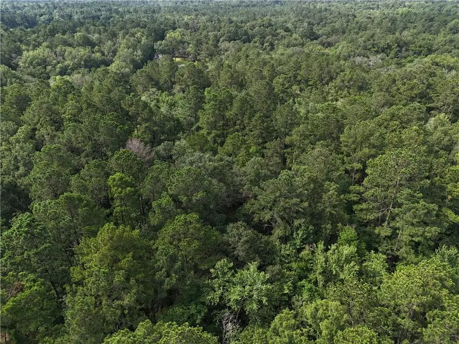 41135 Roper Road, Ponchatoula, LA 70454 - Image #3