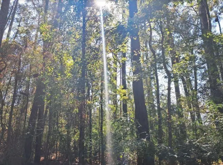 #2