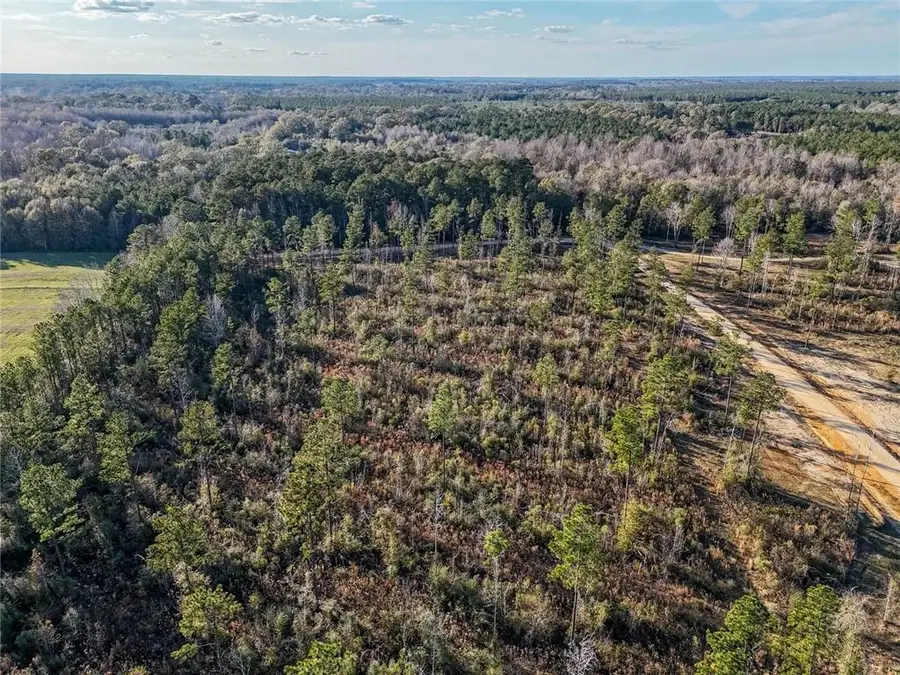 Lot 5 Highway 10 Highway, Franklinton, LA 70438 - Image #2