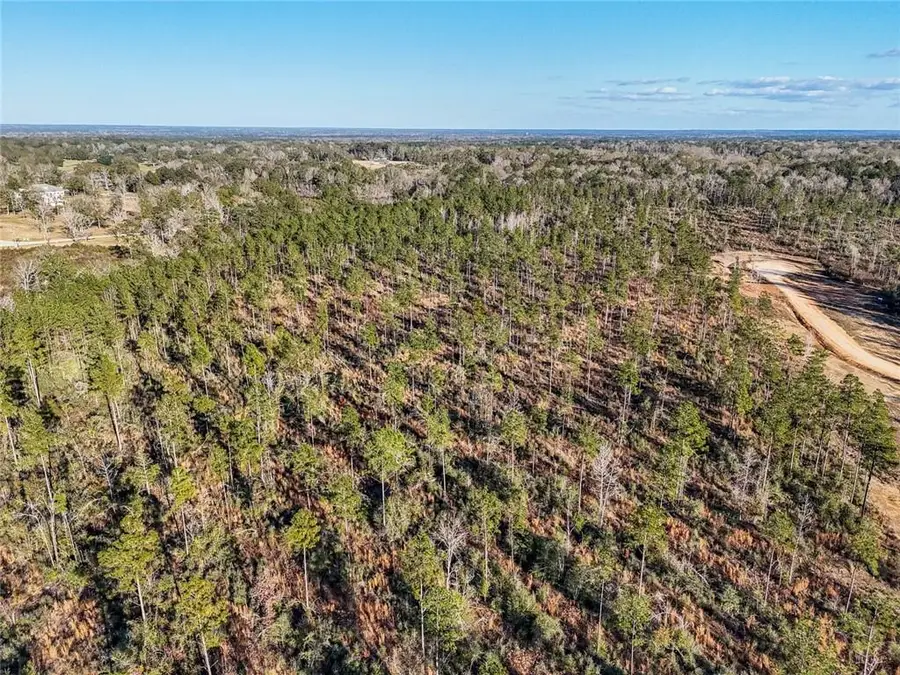 Lot 14 Highway 10 Highway, Franklinton, LA 70438 - Image #3