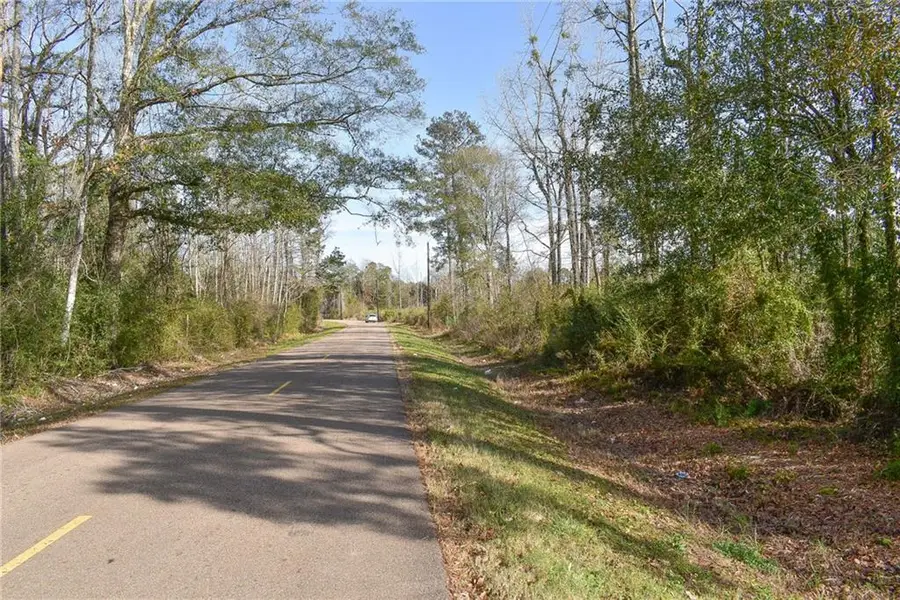 Old Genessee Road, Tickfaw, LA 70466 - Image #3