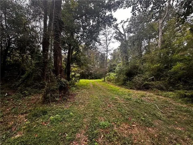 Parcel #1 16 Highway, Franklinton, LA 70438 - Image #3