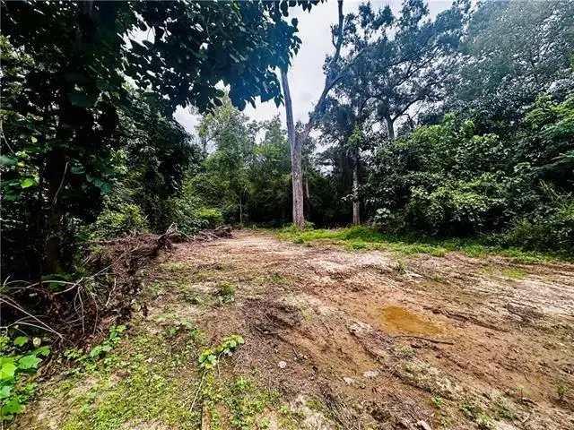 Parcel #2 16 Highway, Franklinton, LA 70438 - Image #1