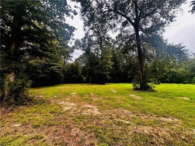 Parcel#4 16 Highway, Franklinton, LA 70438 - Image #1