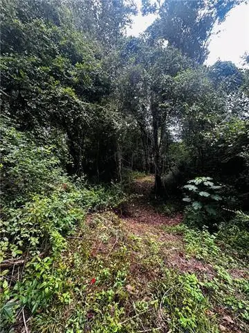 Parcel#6 16 Highway, Franklinton, LA 70438 - Image #2