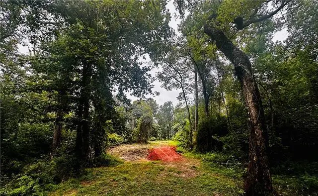 Parcel 7 16 Highway, Franklinton, LA 70438 - Image #3