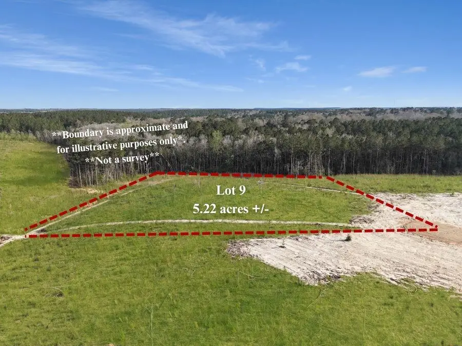 Lot 9 Highway 62, Franklinton, LA 70438 - Image #2