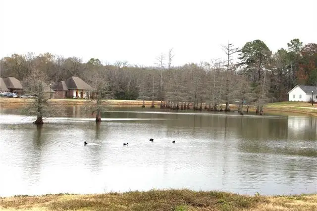 0 Lady Carolyn Circle, Woodworth, LA 71485 - Image #3