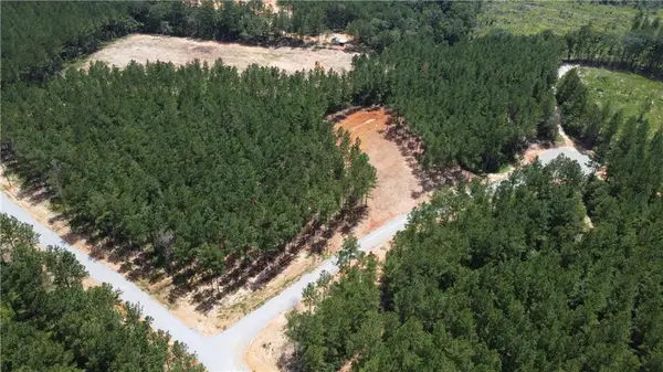 6.6 Acres Caro Lane, Franklinton, LA 70438