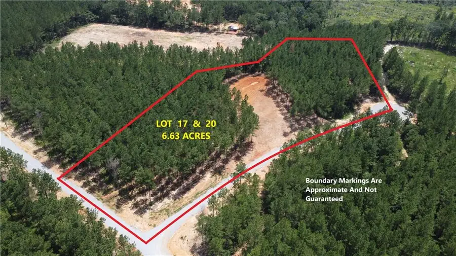 6.6 Acres Caro Lane, Franklinton, LA 70438 - #2