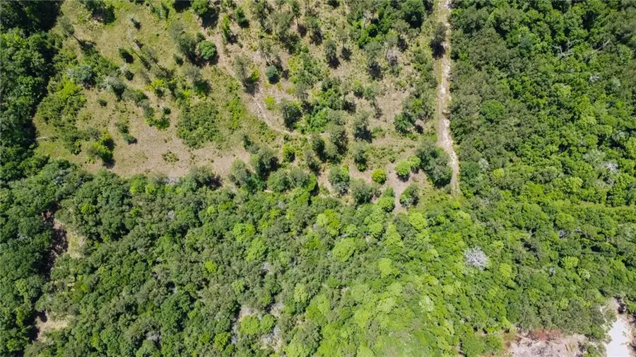 50278 (Lot 6) Allen Drive, Loranger, LA 70446 - Image #3