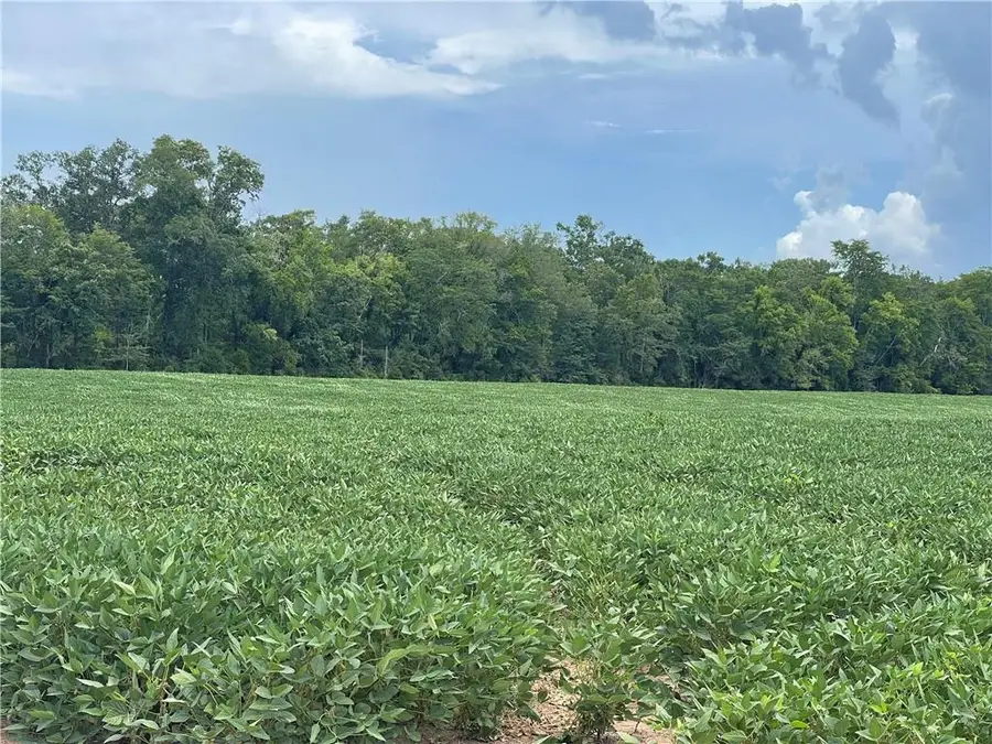 0 Highway 71 Highway, Colfax, LA 71417 - Image #2