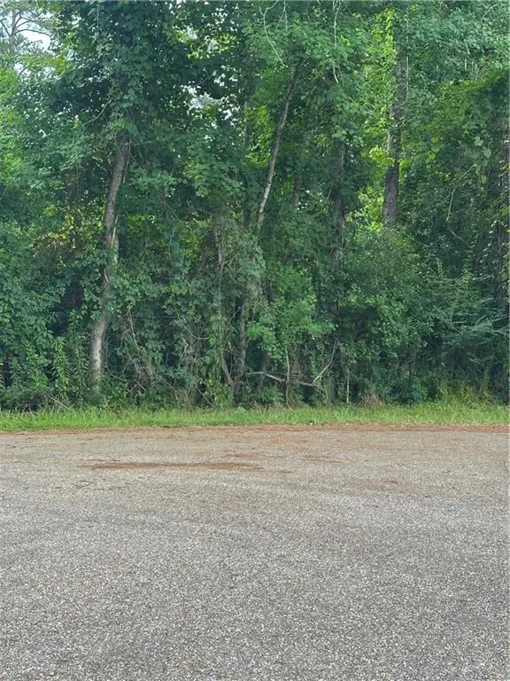 0000 Shady Lane, Tickfaw, LA 70466 - Image #1