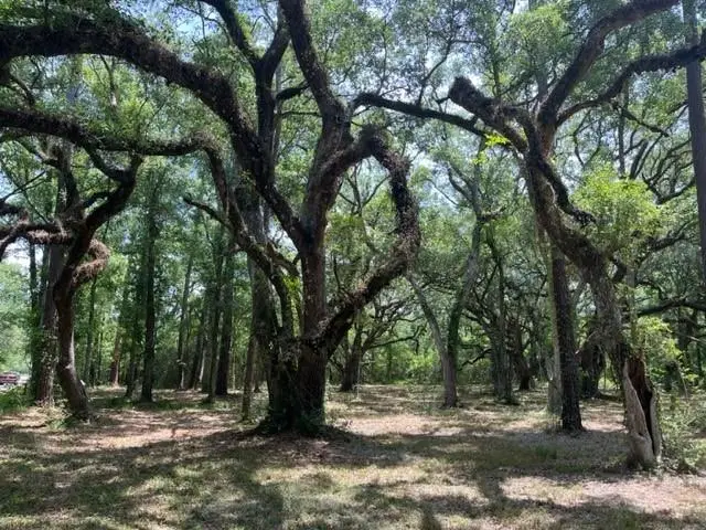 00000 Louisville Street, Lacombe, LA 70445 - #1