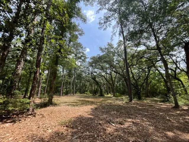 00000 Louisville Street, Lacombe, LA 70445 - #3