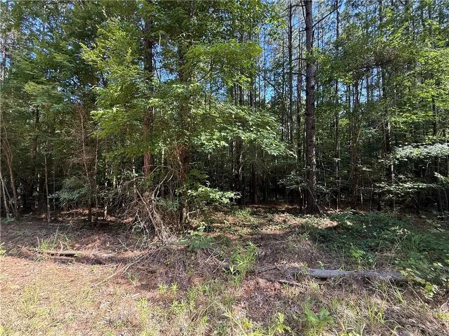 0 Hwy 771 Highway, Olla, LA 71465 - Image #2