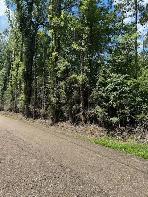 14181 E E. Russell Town Road, Roseland, LA 70456 - Image #2