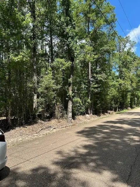 14181 E E. Russell Town Road, Roseland, LA 70456 - Image #3