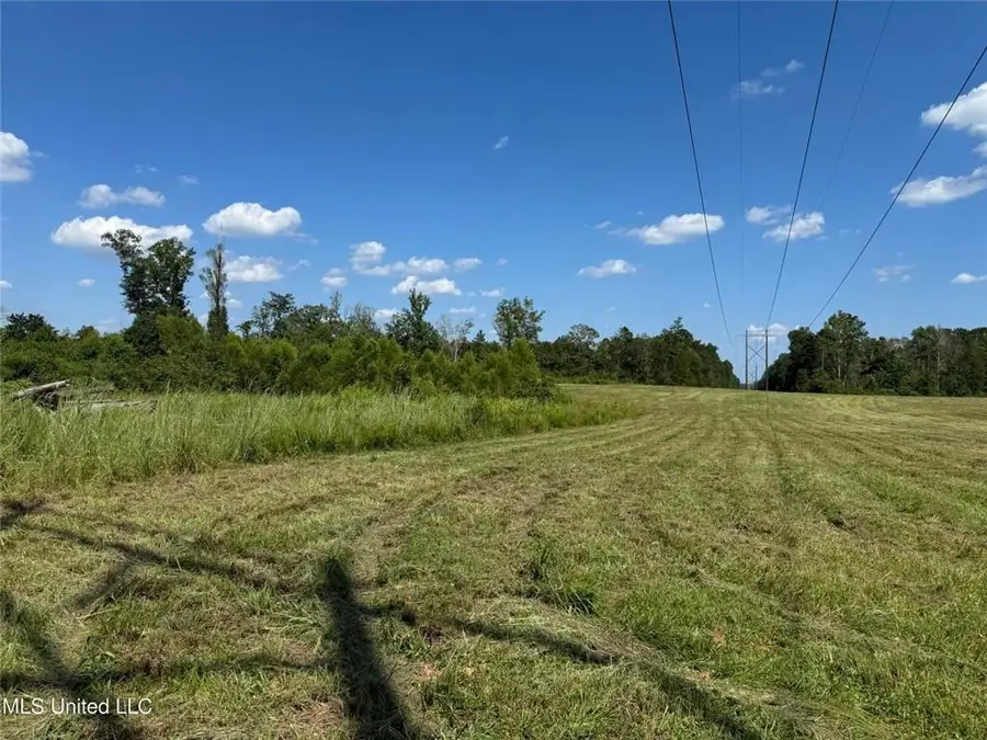 816a Denton Trail, Brookhaven, MS 39601 - Image #3