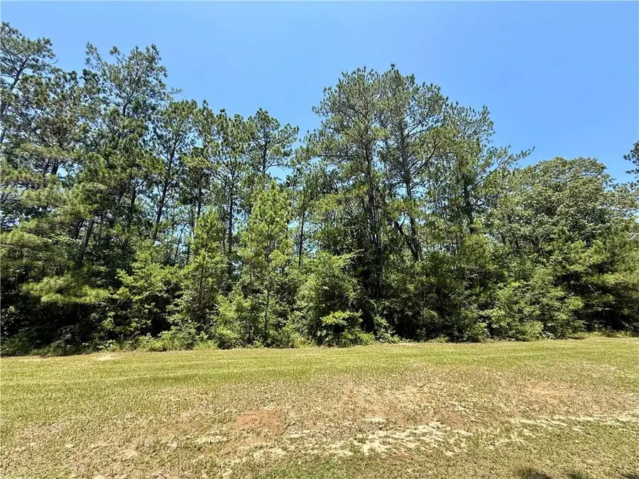 Lake Choctaw Road, Franklinton, LA 70438 - Image #3