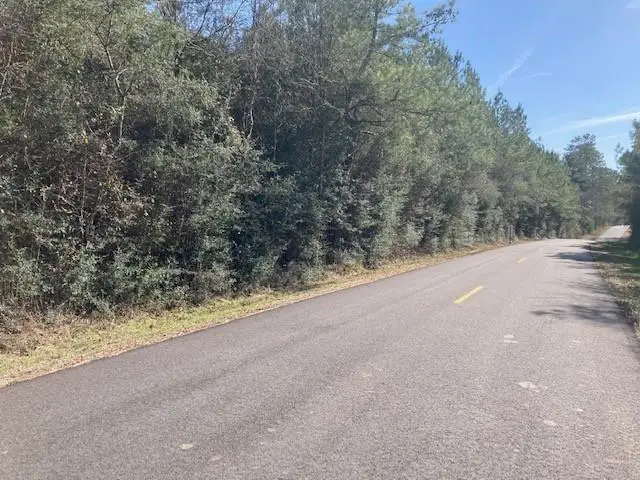 B F Roberts Road, Mount Hermon, LA 70450 - Image #1