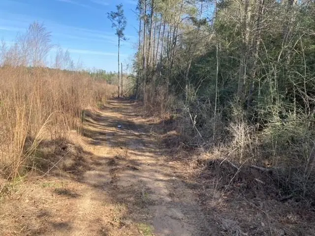 B F Roberts Road, Mount Hermon, LA 70450 - Image #2