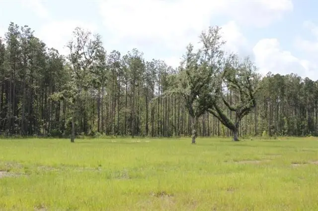 29658 Billy Joe Road, Independence, LA 70443 - Image #2