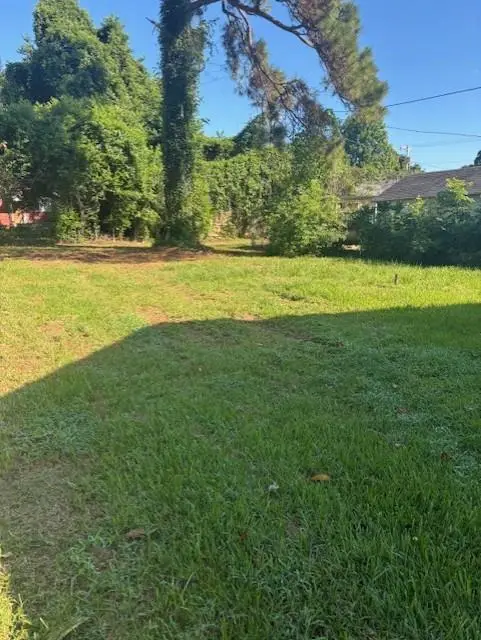 2320 Madeline Street, Alexandria, LA 71301 - Image #2