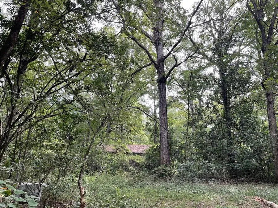 12829 Oakdale Road, Oakdale, LA 71463 - Image #2