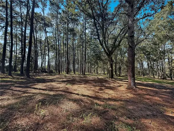 Lot 2 Hwy 16, Franklinton, LA 70438