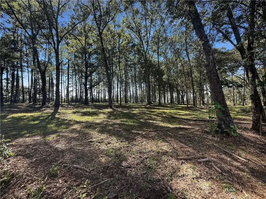 Lot 2 Hwy 16, Franklinton, LA 70438 - #2