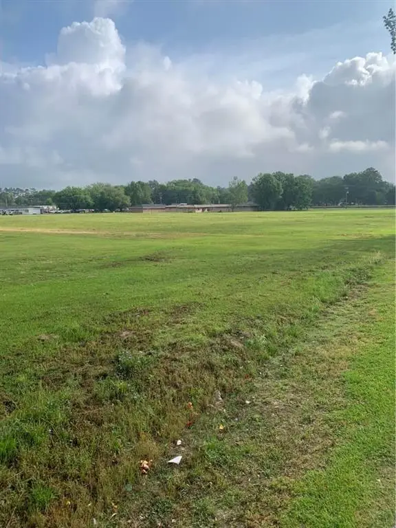 13322 Berry Bowl Road, Independence, LA 70443 - Image #3