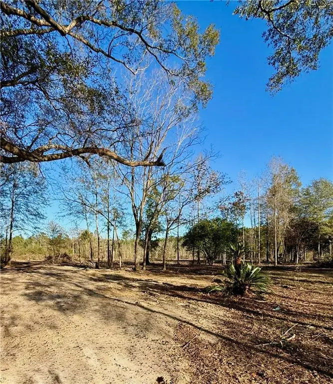 49331 16 Highway, Franklinton, LA 70438 - #1