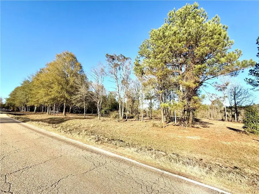 49331 16 Highway, Franklinton, LA 70438 - #3