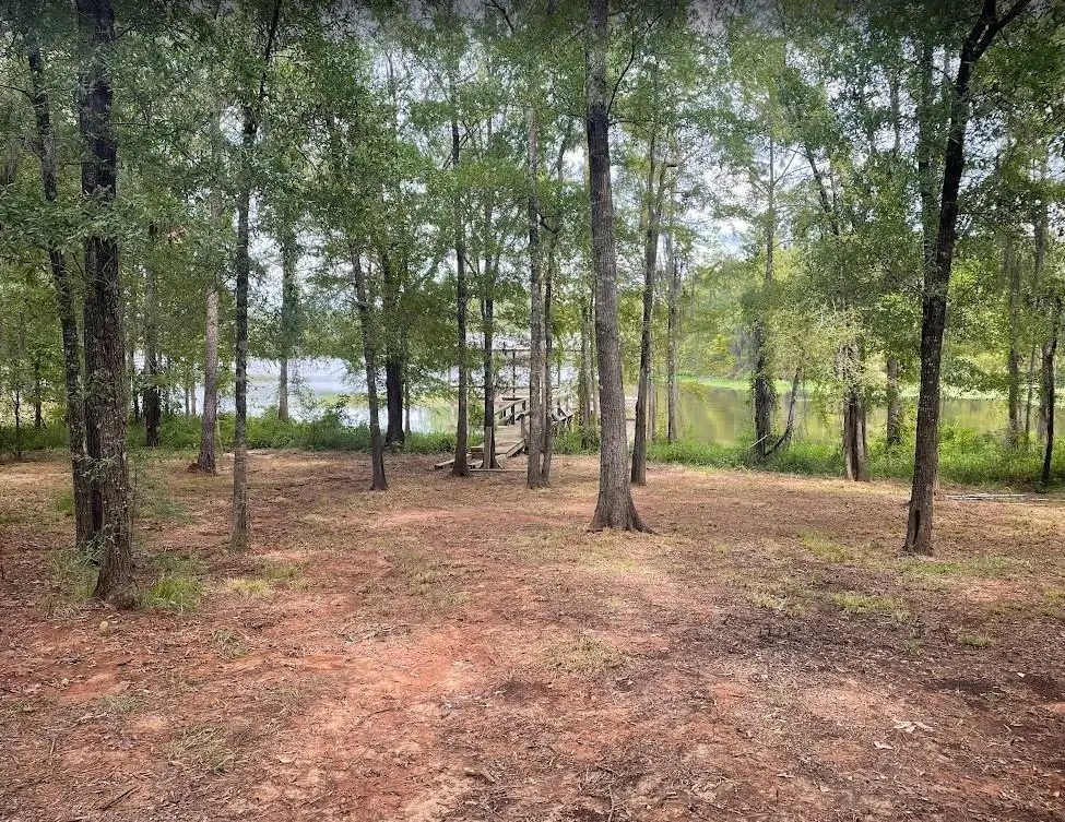 162 Katherines Kove Road, Montgomery, LA 71454 - Image #1