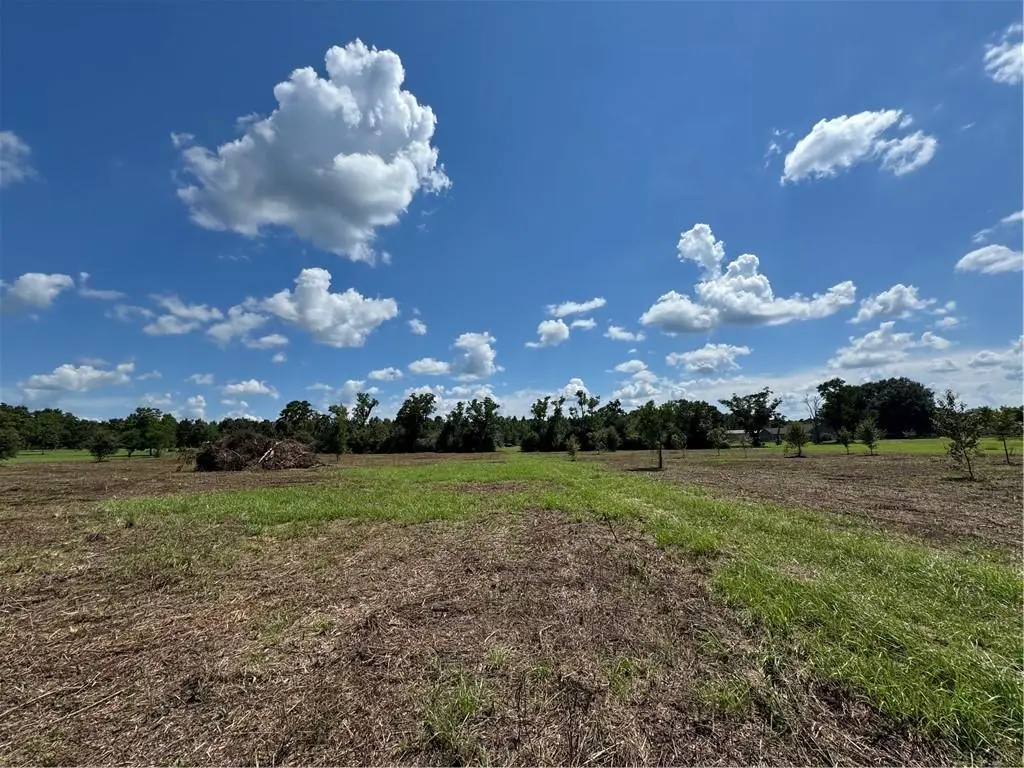 5.5 Acres Eaglesnest Lane, Franklinton, LA 70438 - #1