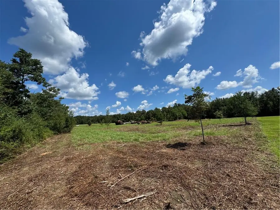 5.5 Acres Eaglesnest Lane, Franklinton, LA 70438 - #2