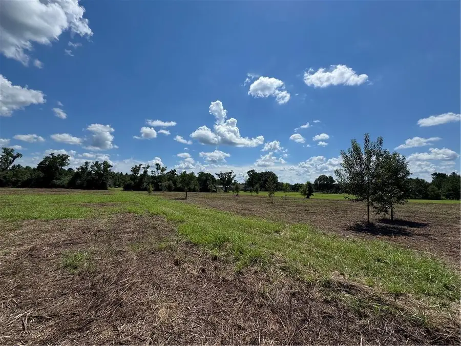 5.5 Acres Eaglesnest Lane, Franklinton, LA 70438 - #3