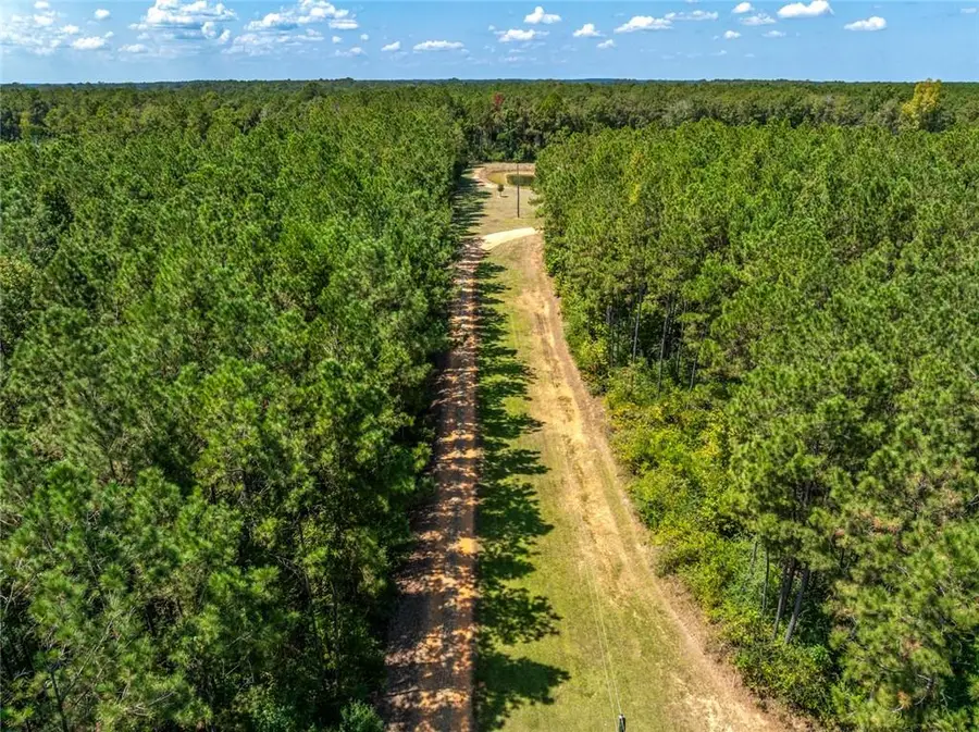 20259 Sylvest Road, Franklinton, LA 70438 - Image #3