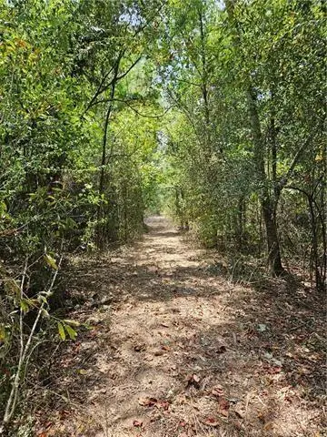 0 Donnie Price Road, Deville, LA 71328 - Image #2