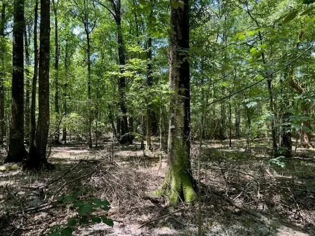 0 Donnie Price Road, Deville, LA 71328 - Image #3