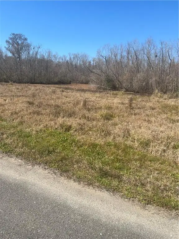137 Tahiti Trail, Vacherie, LA 70090 - Image #3