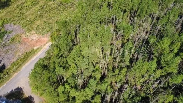 5464a Pecan Orchard Road, Liberty, MS 39645 - Image #2