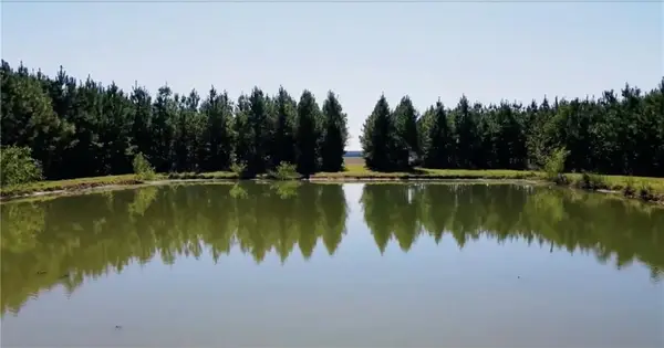 0 Highway 1, Marksville, LA 71351