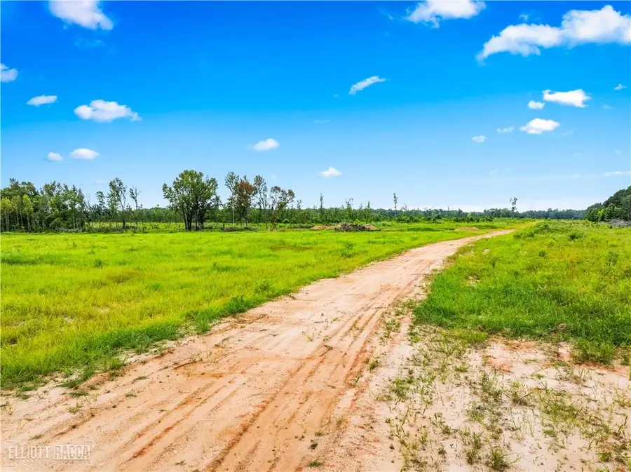 Mcnary Cutoff Lot 1 Road, Glenmora, LA 71433 - Image #3