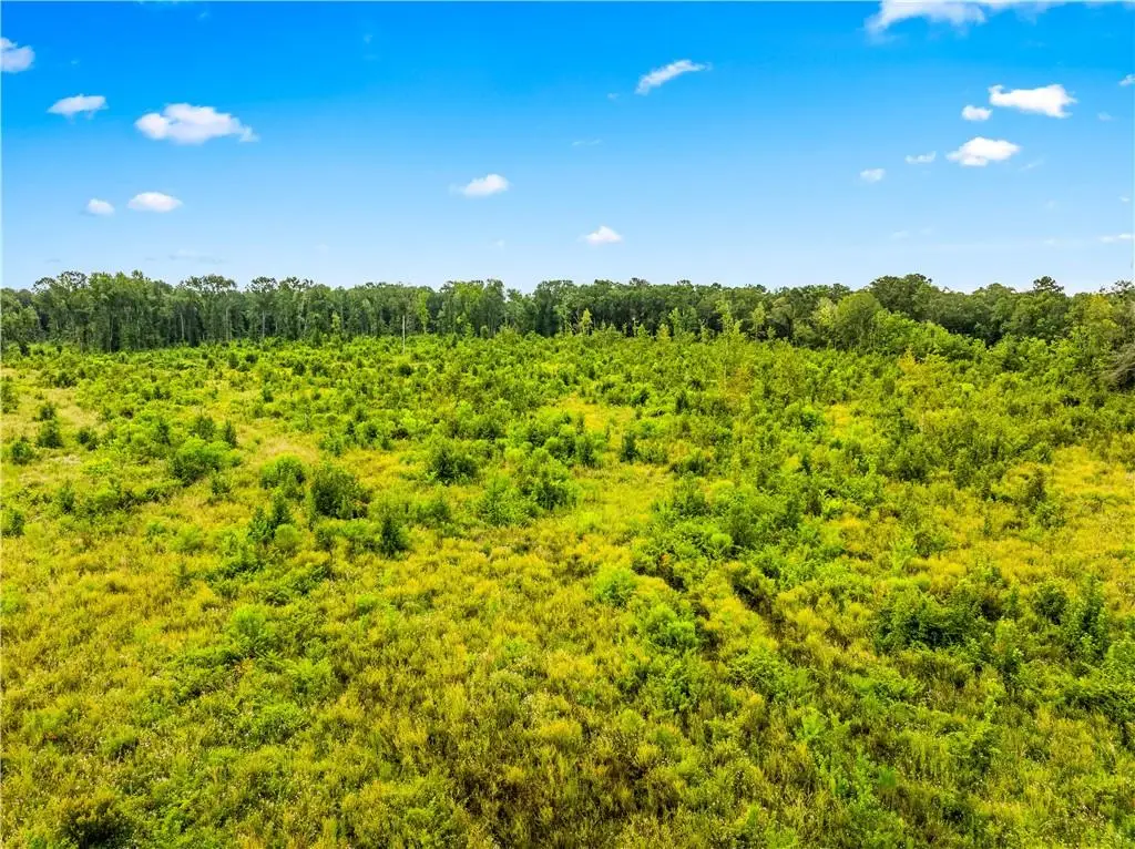 Mcnary Cutoff Lot 2 Road, Glenmora, LA 71433 - Image #1