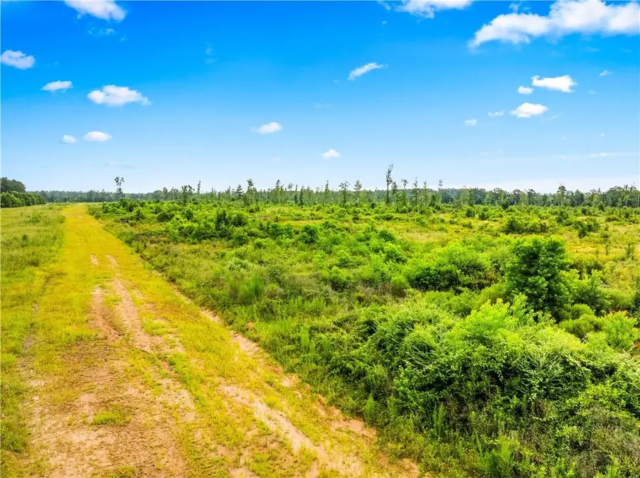 Mcnary Cutoff Lot 2 Road, Glenmora, LA 71433 - Image #2