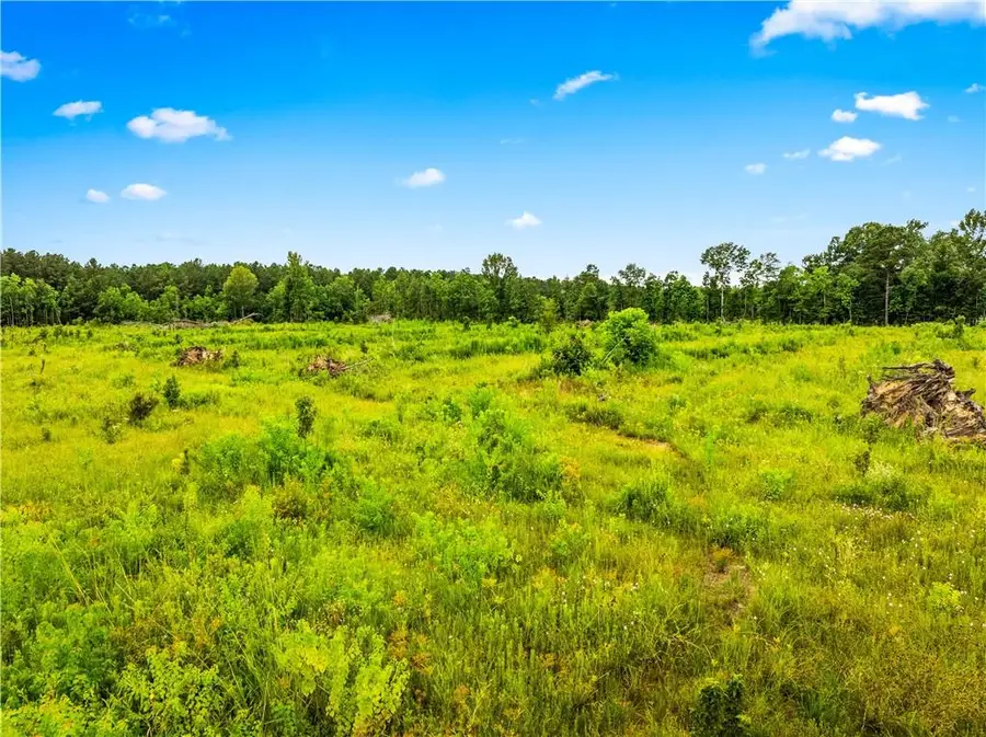 Mcnary Cutoff Lot 2 Road, Glenmora, LA 71433 - Image #3