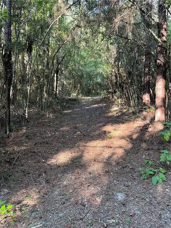 Aunt Margie's Road, Greensburg, LA 70441 - Image #1